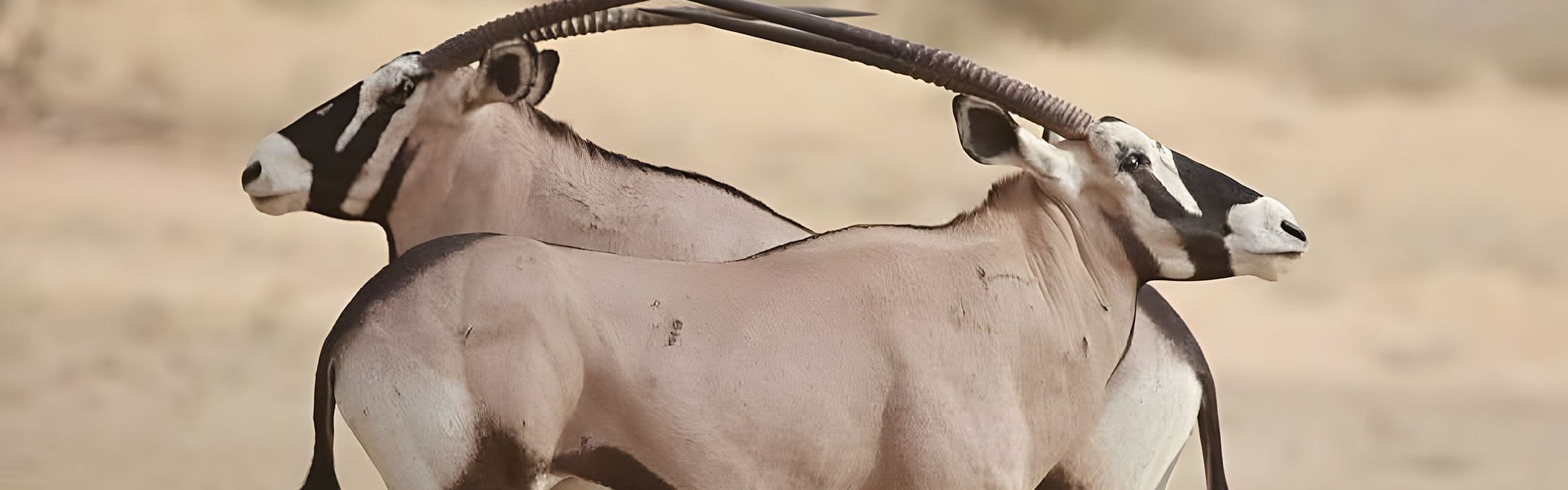 Namibia