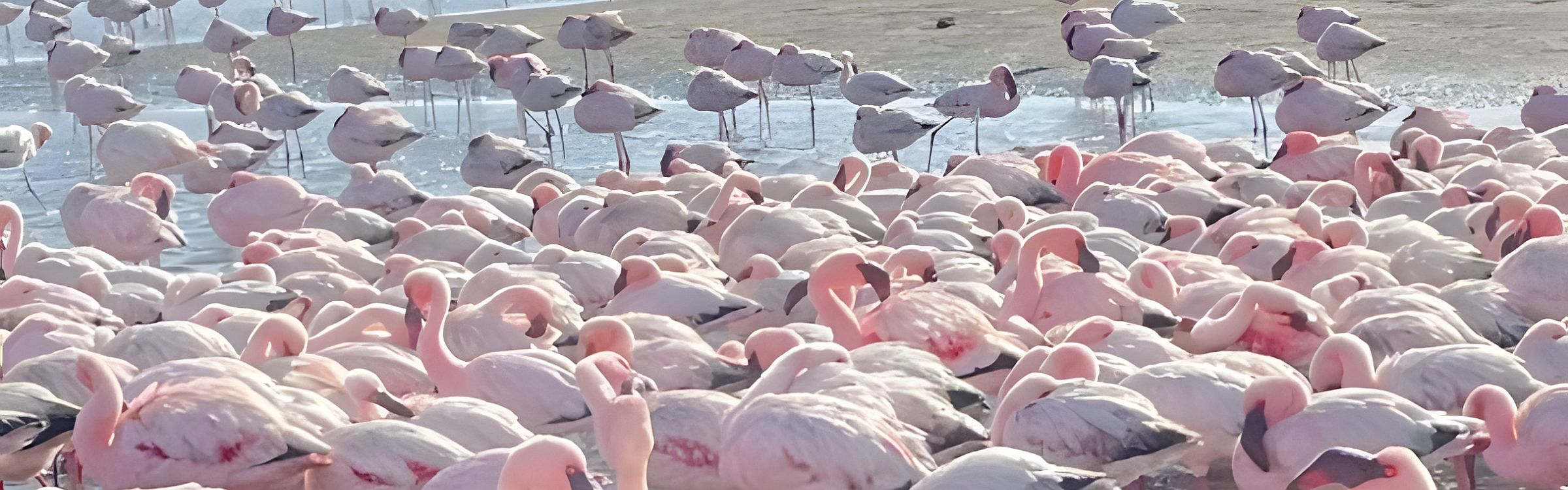 Namibia